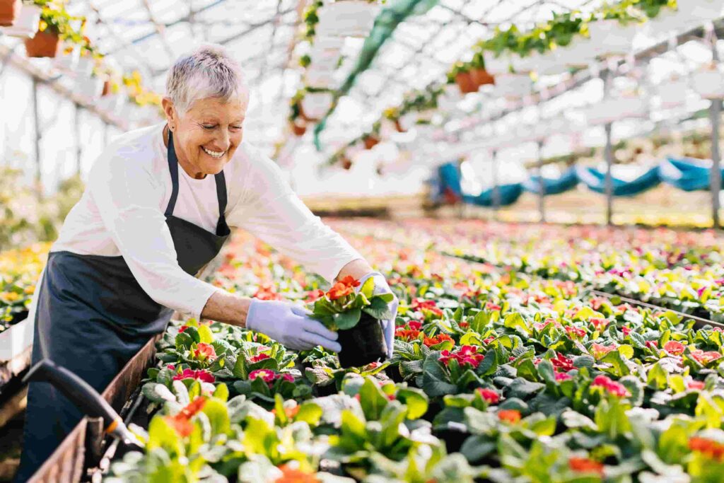 woman tending to rows of flowers in a greenhouse